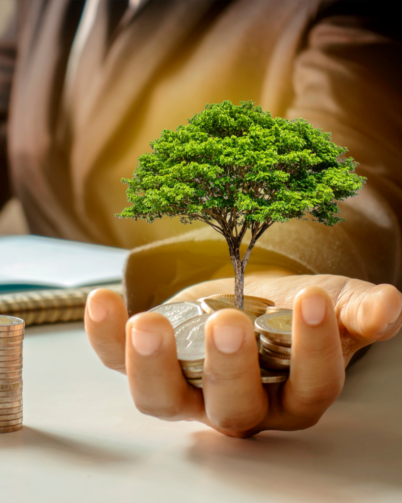 KfW/ BAFA für Förderungen